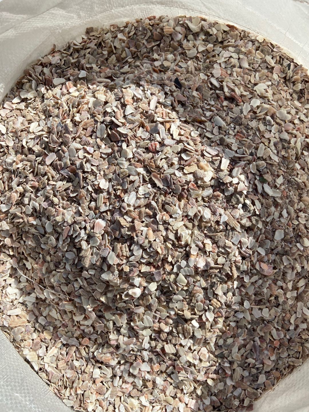 荣郁洁中舒贝壳粉饲料牡蛎粉贝壳饲料批发鸡用补钙鸽子贝壳砂贝壳饲料