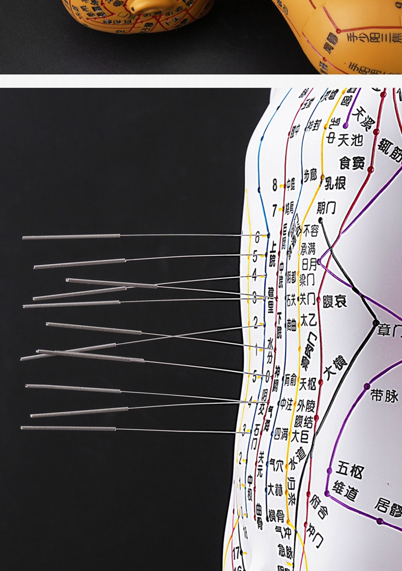 中医针灸人体穴位模型人体经络穴位图十二可扎针练习教学小铜人彩色软