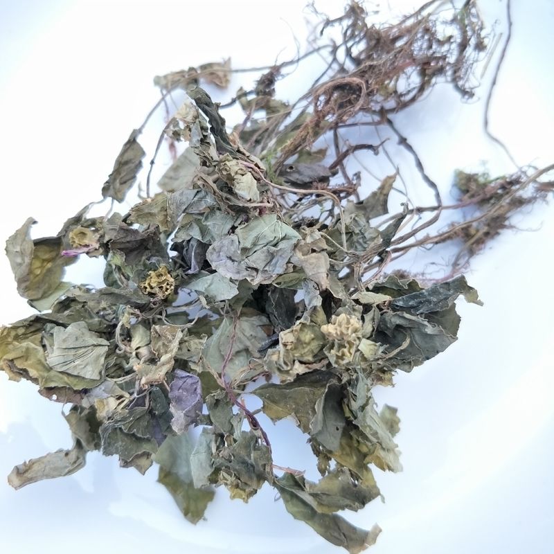 野生风柜斗草干货250克/500克品楮肉穗草槠头红风谷风鼓草风骨草风方