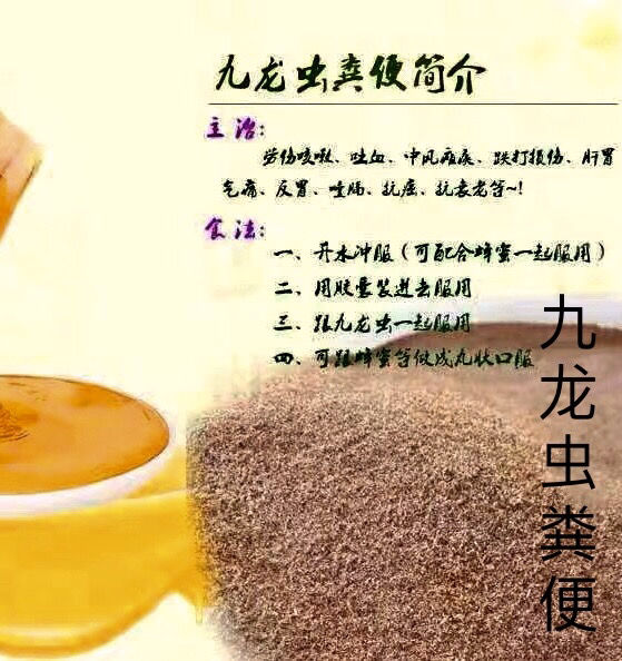 伟博正宗九龙虫活体洋虫幼虫可繁殖长命虫药材喂养九龙虫假包退800只