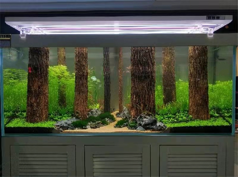 阿可喏斯鱼缸沉木森林树干水草造景木树枝雨林缸装饰乌龟缸杜鹃根香槟