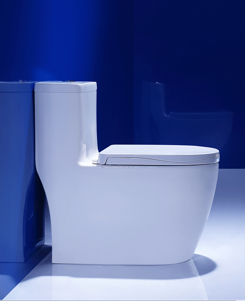 卫浴马桶坐便器陶瓷家用抽水普通人体工程学座便器卫生间 【脲醛盖板