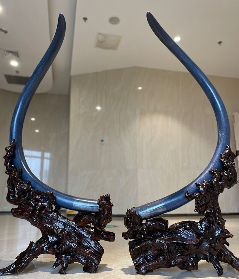 霜魄 猛犸牙摆件 俄罗斯猛犸象牙摆件整根雕刻原牙乳牙对牙单摆小牙尖