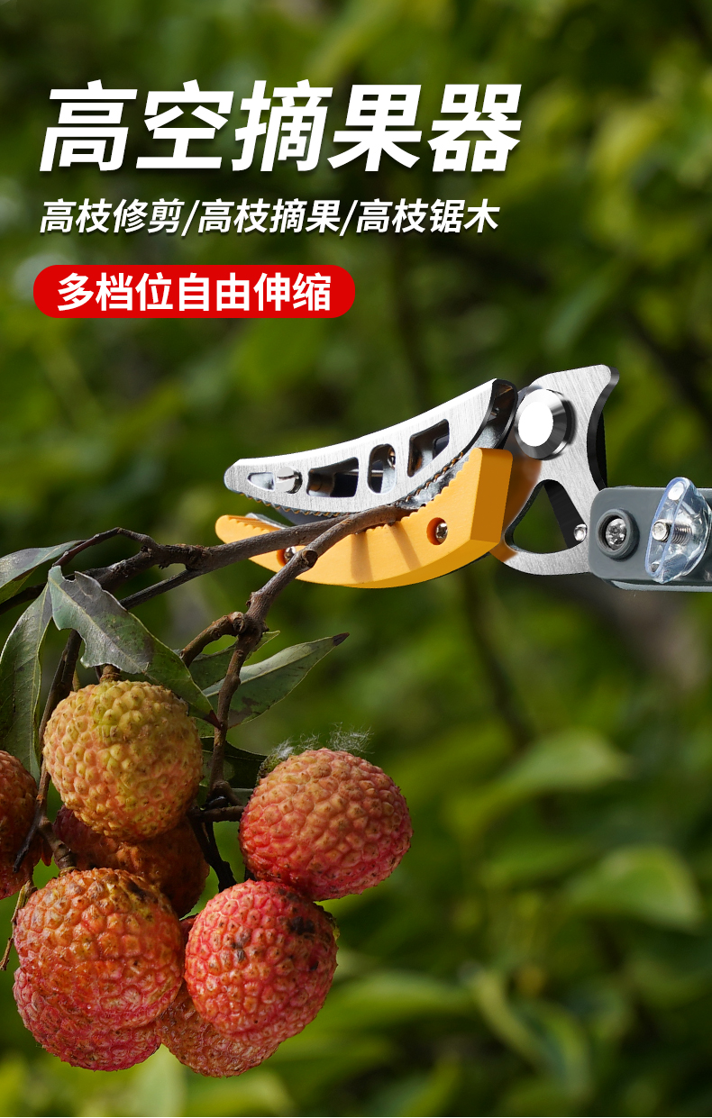 涞思芊摘果神器摘水果摘荔枝采摘神器采果杨梅果子树枝高枝剪伸缩高空