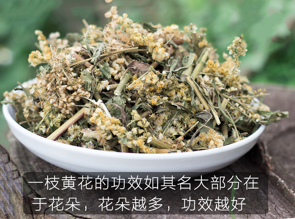 一枝黄花野生农家一支黄花新鲜采收草药老虎尿中药材干贵州