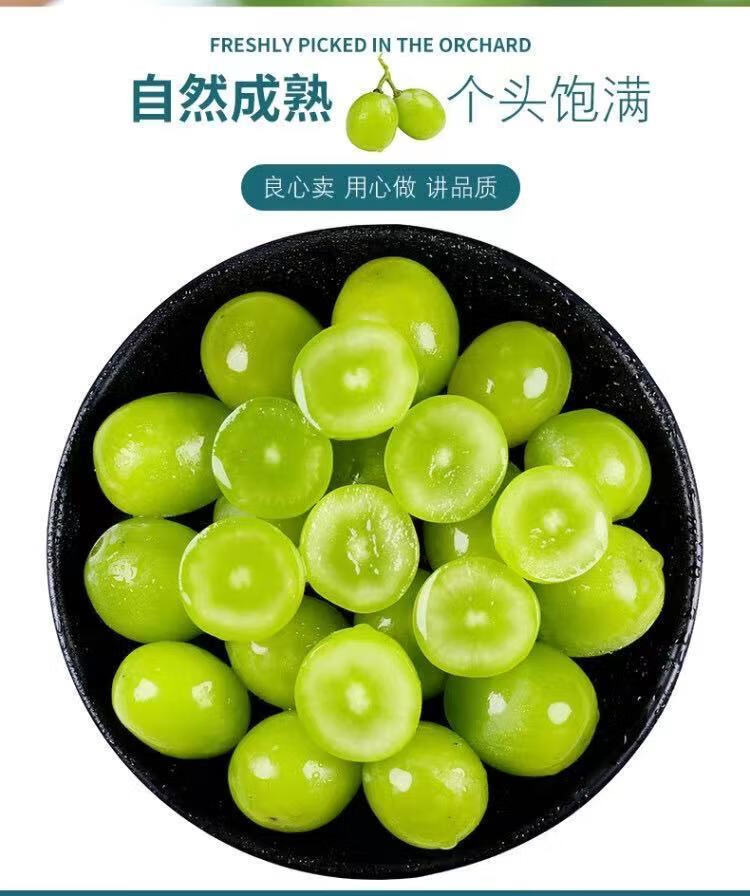 阳光玫瑰葡萄青提新鲜晴王水果 纯甜【2斤净重】尝鲜