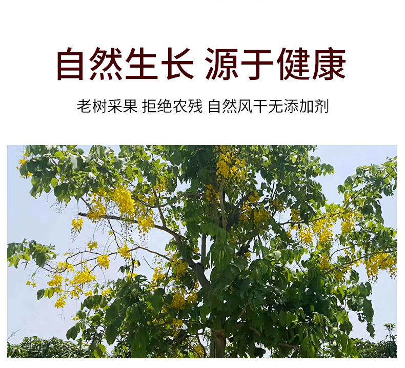 伟博 便秘果大解缅甸大解果便秘果大便减通清肥肠排便果便秘果16/500