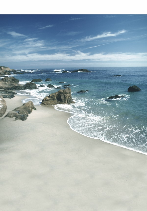 大海沙滩蓝天白云海边椰树风景主播拍视频段子直播背景布3d立体 851