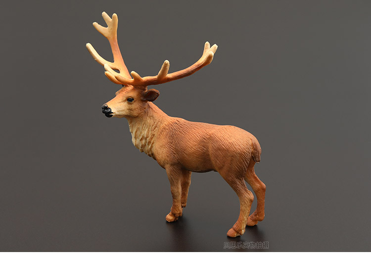 左一仁实心仿真动物玩具野生动物模型套装圣诞麋鹿驯鹿白尾鹿礼物摆件