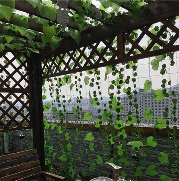 倾晨 植物爬藤网攀爬网葡萄架网瓜架网家用蔬瓜果网尼龙网种黄瓜百香