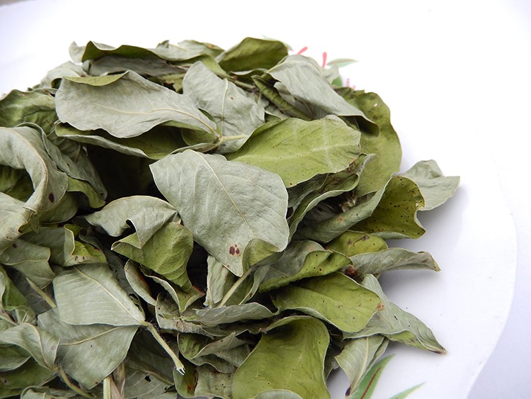 19新货干花生叶1500克无霉变无农药花生叶茶泡茶