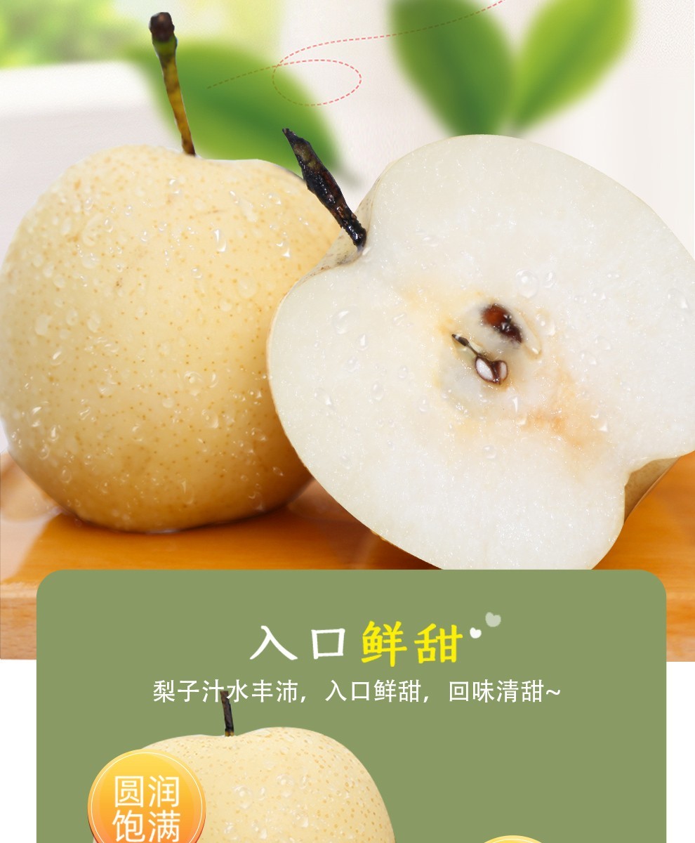 河北赵县赵州皇冠梨新鲜脆甜多汁5斤 2021年夏季新梨 7天保价