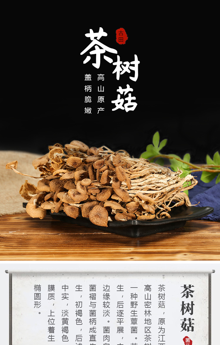 茶树菇的功效与作用图片