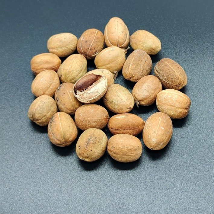 中药材超细葫芦巴豆仁芦巴子葫芦巴种子奶巴豆茶粉胡芦巴豆粉 巴豆粉