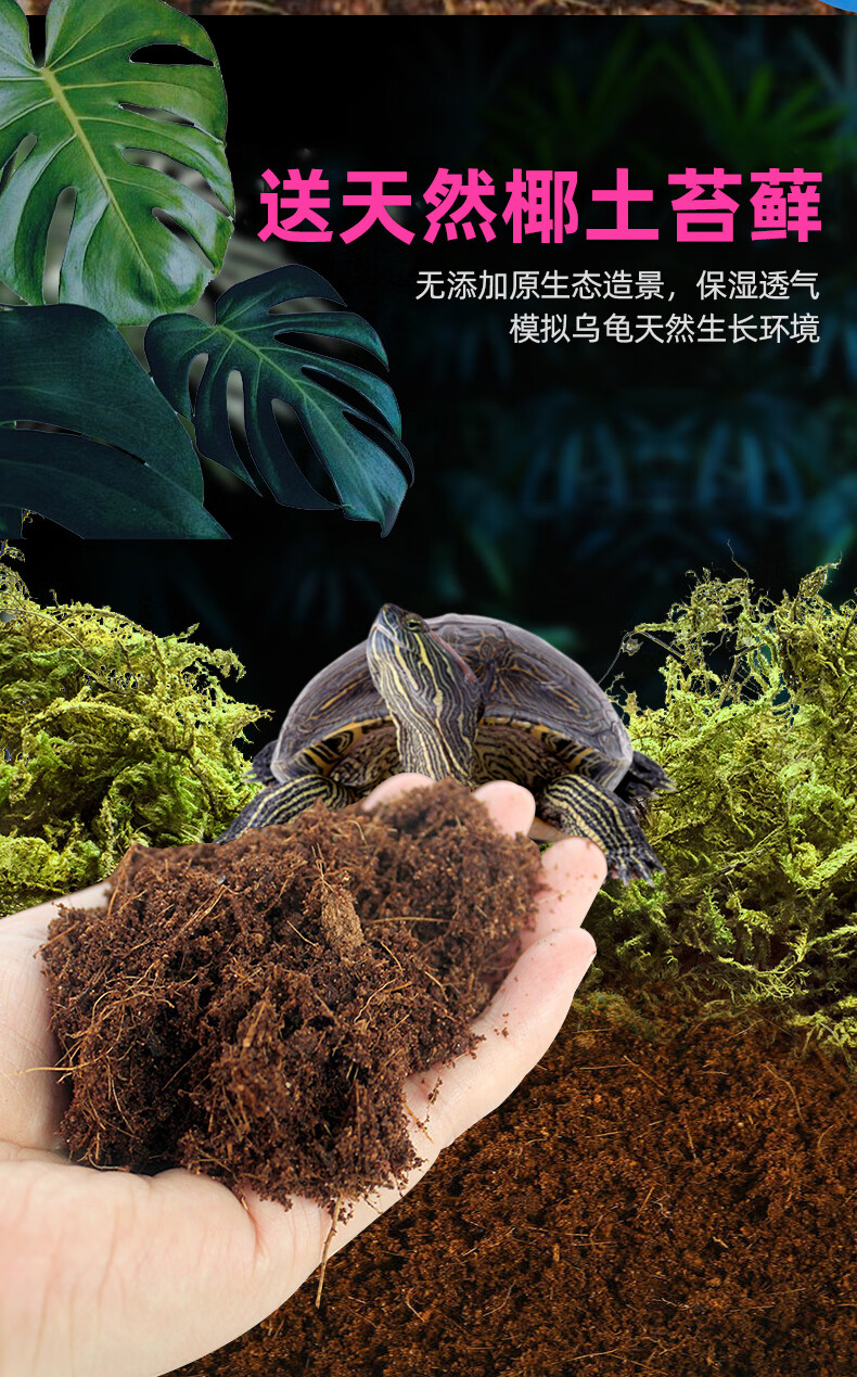 乌龟缸生态缸饲养箱养乌龟专用缸龟缸龟箱家用造景大型养殖缸鳄龟