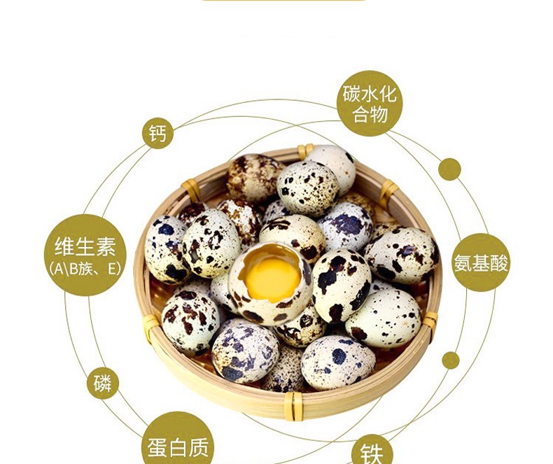 现捡现发泗河湾新鲜鹌鹑蛋生的散养精品美味营养辅食鹌鹑鸟蛋54枚营养