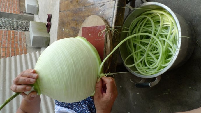 东北特产葫芦条葫芦丝农家干葫芦条干自制晒干货干菜干瓢500g