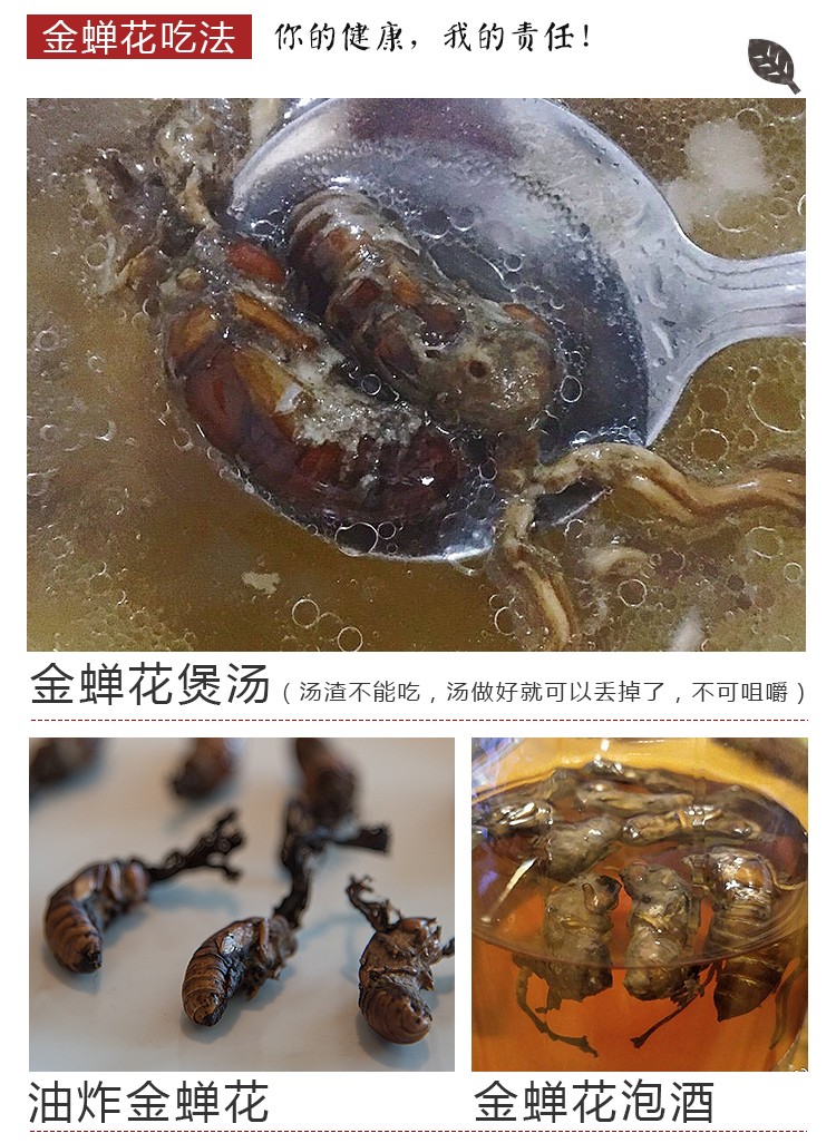 金蝉花 野生新货250g婵花蝉花虫草孢子粉知了花金蚕花禅花