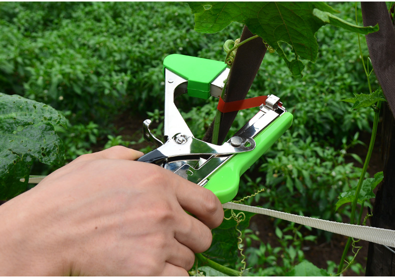 花玲珑 新款葡萄绑枝器绑蔓器捆绑机 西红柿番茄黄瓜绑架器 绑扎机