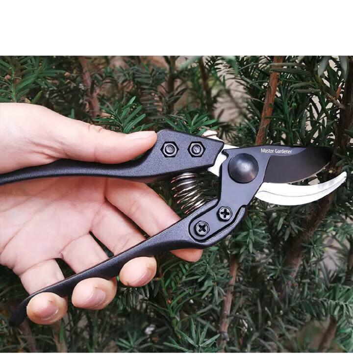 钢园林剪刀园艺修花剪修剪树枝果枝剪 家用强力剪子粗枝剪 sk-5合金钢