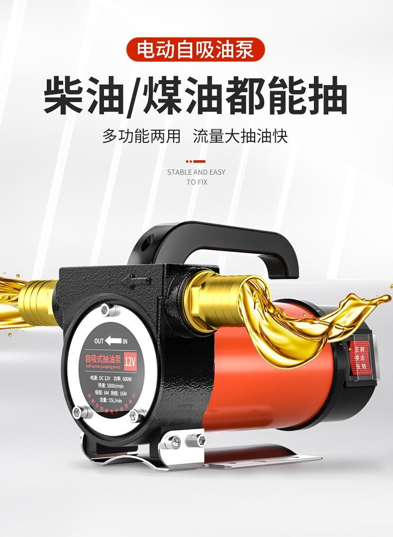 正反转油泵12v24v220v直流加油泵吸油机电动抽油泵柴油自吸泵 【380w