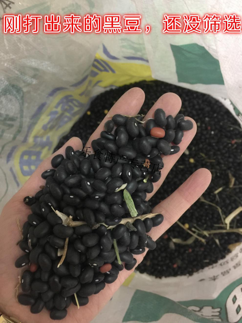 东北黑芸豆腰豆肾形白心芯饭豆馅小黑豆农家自产不染色乌10斤