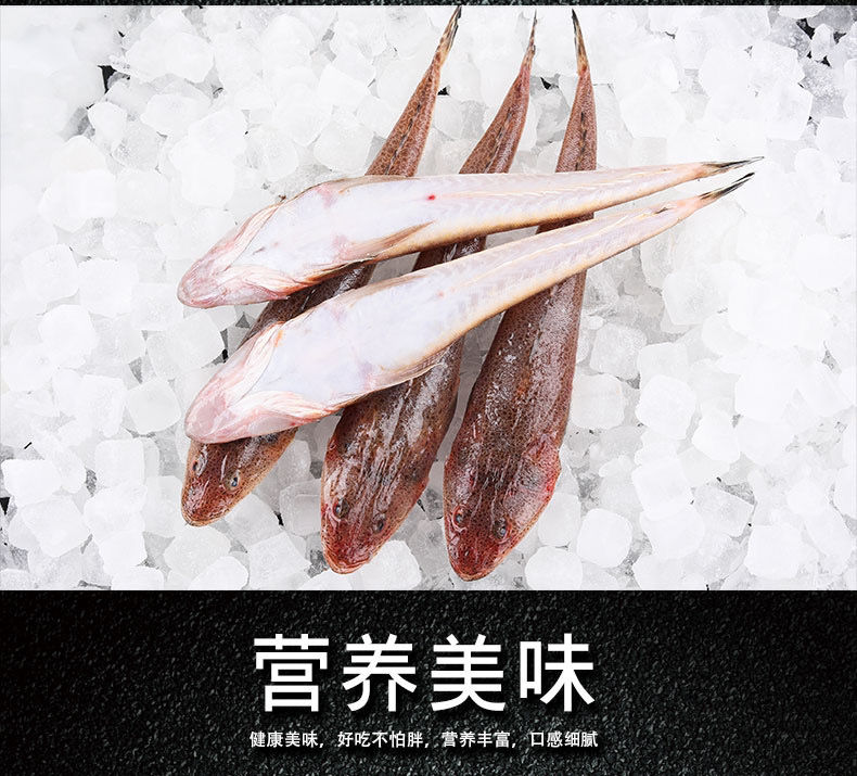 新鲜海捕牛尾鱼辫子鱼鱼纯净海域深海捕捞冷冻锁鲜小号每条35两2斤