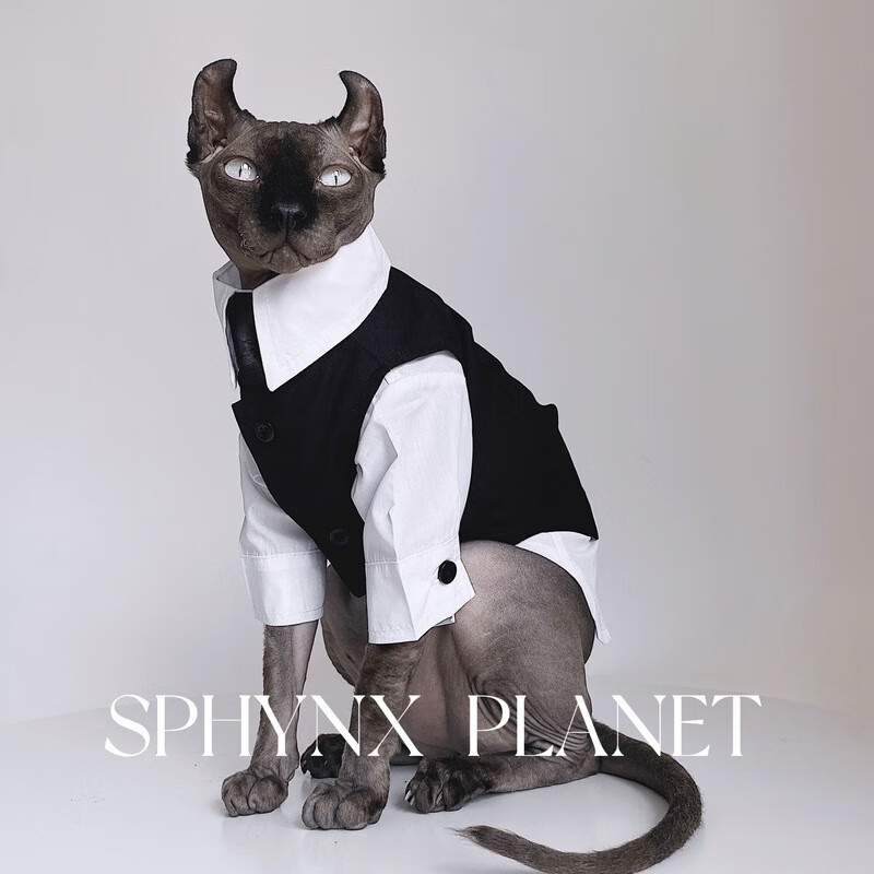 无毛猫衣服斯芬克斯猫德文秋冬英伦风礼服结婚西装衬衫套装宠物 黑色