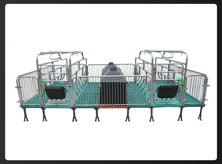 耐尔尼猪产床产保一体母猪产床母猪定位栏仔猪保育床单双体产床国标25