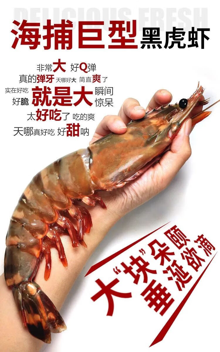 特大虎虾老虎虾巨型黑虎虾海捕活冻大虎虾大海虾斑节虾华海春 一斤