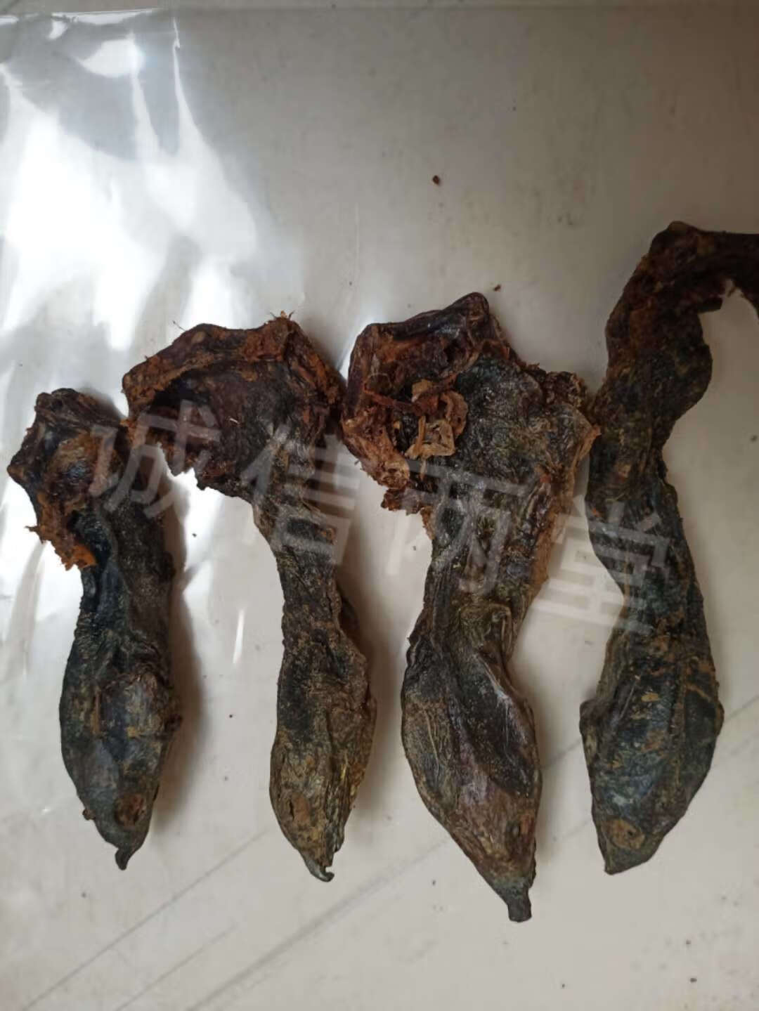 【鳖头】中药材 带脖鳖头 鳖首 鳖头 甲鱼头 鳖