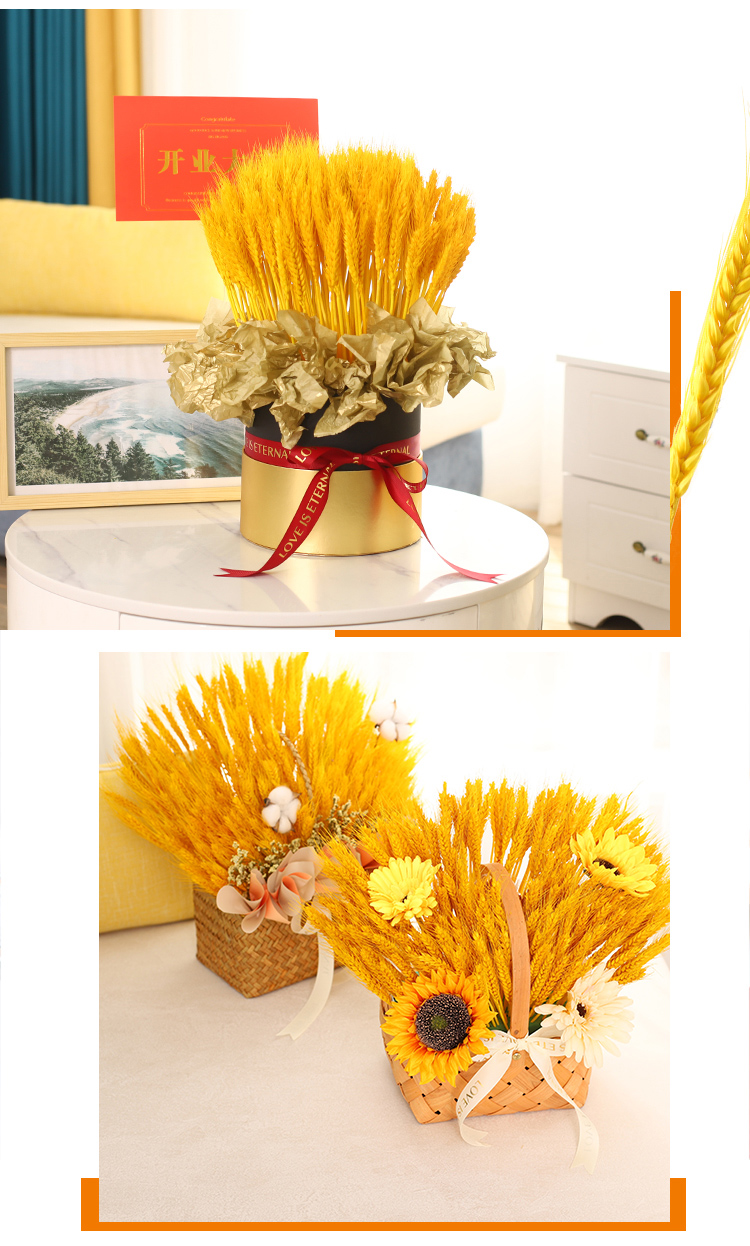 大麦开业花篮麦穗天然干花花束套装田园摆放装饰展会布置家居摆设大麦