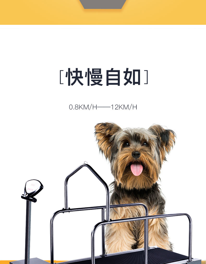 家用宠物狗狗跑步机训练大型犬用跑步机格力惠比特犬用动物跑步机c400