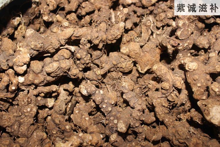 杞里香东北苍术500克野外生苍术中药原材特级可磨苍术粉生苍术