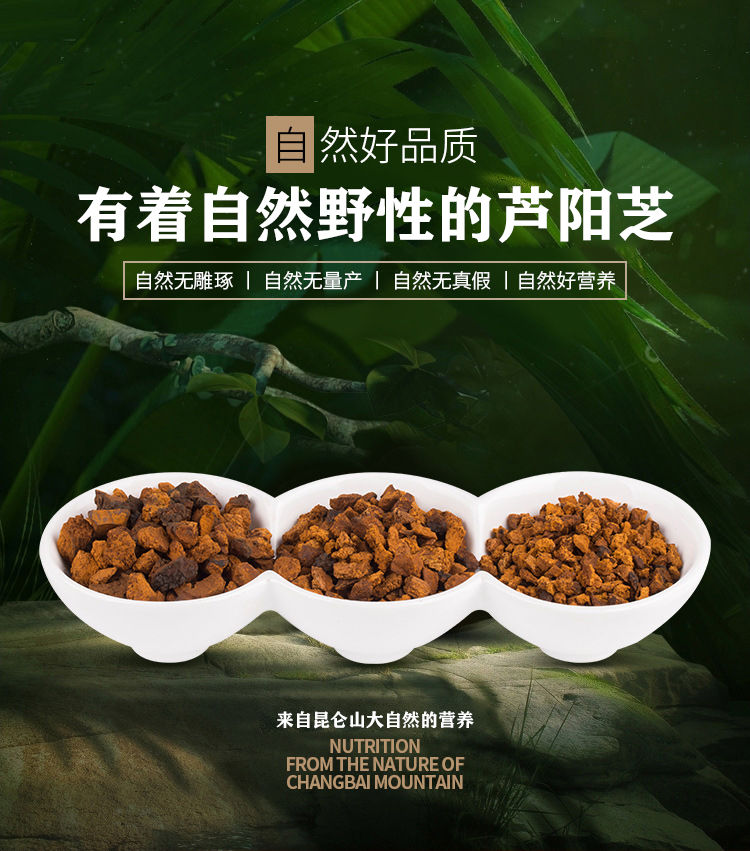 伟博芦阳芝大粒西藏芦阳芝买2送1官网庐阳芝卢阳芝50克大粒送枸杞
