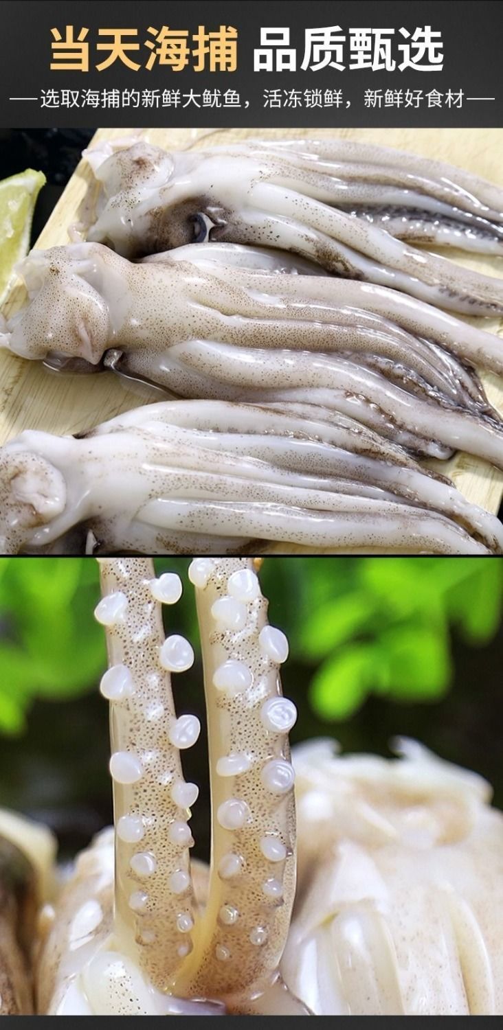 鱿鱼须新鲜鱿鱼头鱿鱼爪速冻八抓鱼火锅铁板烧烤食材生鲜海鲜水产华海