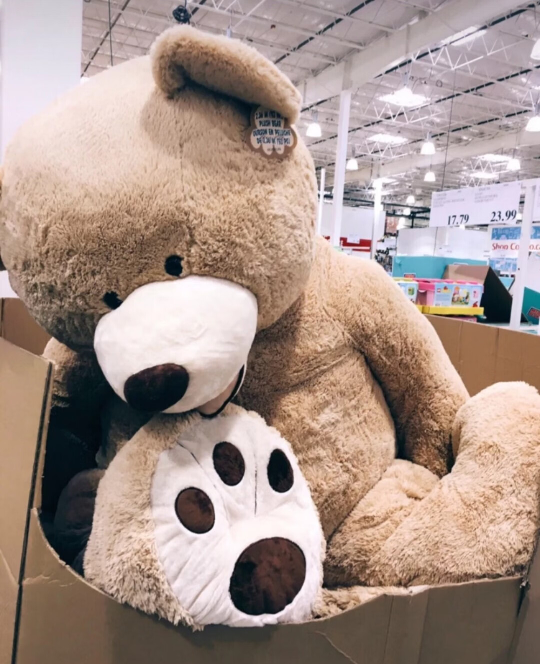 泰迪熊honey costco美国大熊超大号泰迪熊毛绒玩具公仔女生睡觉抱玩偶