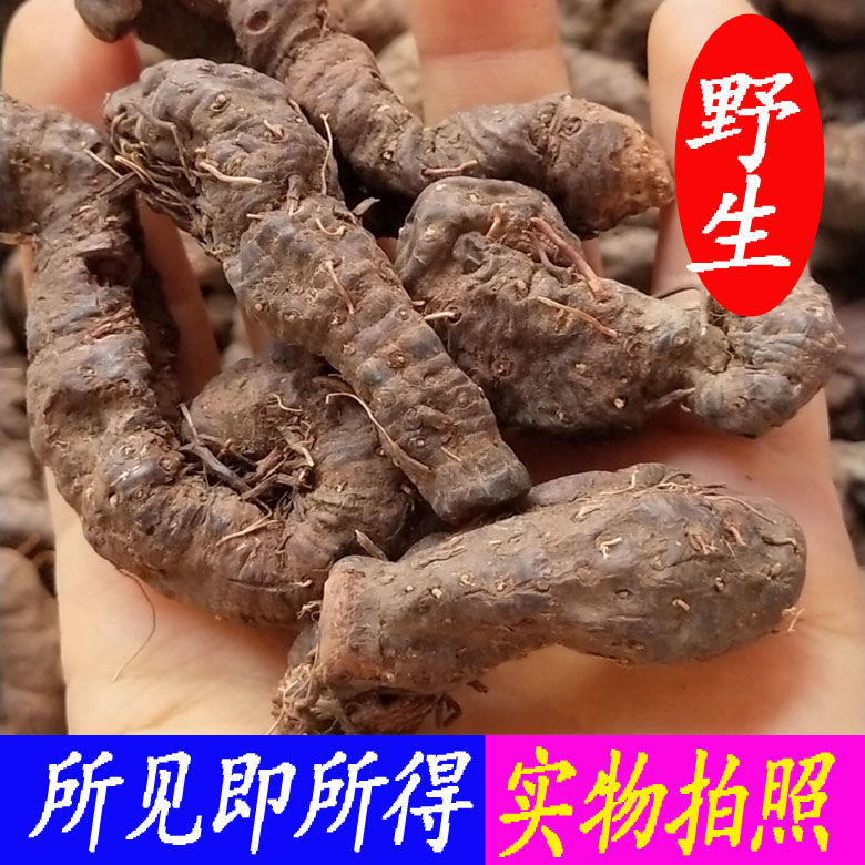 伟博化骨莲中药材草河车蚤休拳参中草药新货干化骨莲泡酒料500g优惠装