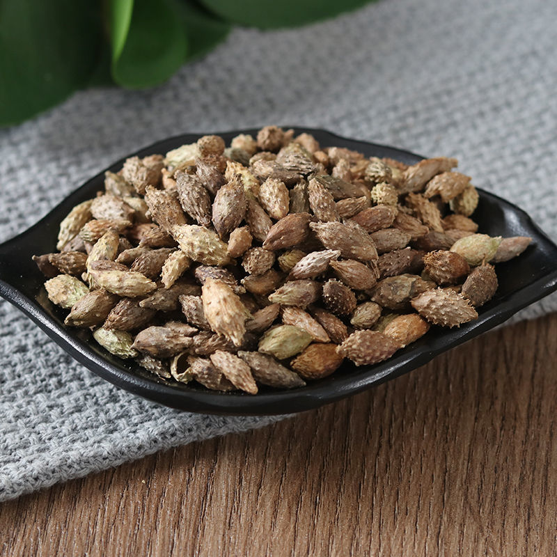 中药材苍耳子苍耳苍耳子苍棵子苍郎种苍子猪耳老苍子苍耳子1000g