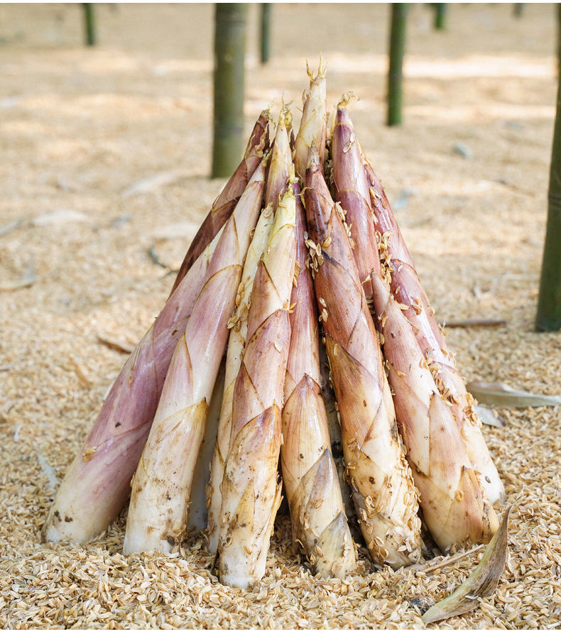 【精品】临安天目山现挖新鲜春笋雷笋冬笋油焖腌笃笋农家蔬菜鲜嫩竹笋