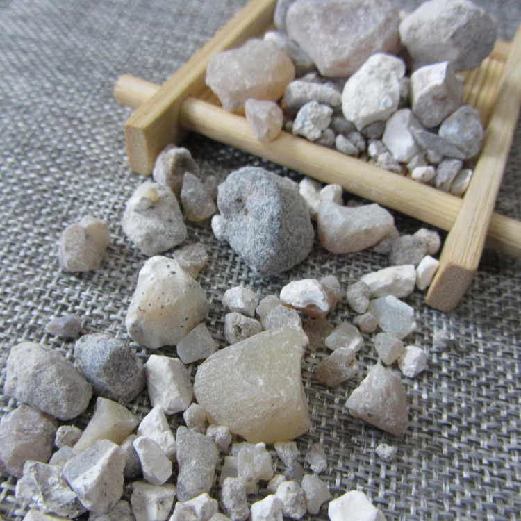 伟博天竺黄中药材道地天然天竺黄天竹黄竹糖竹黄100克250克可选 天竺