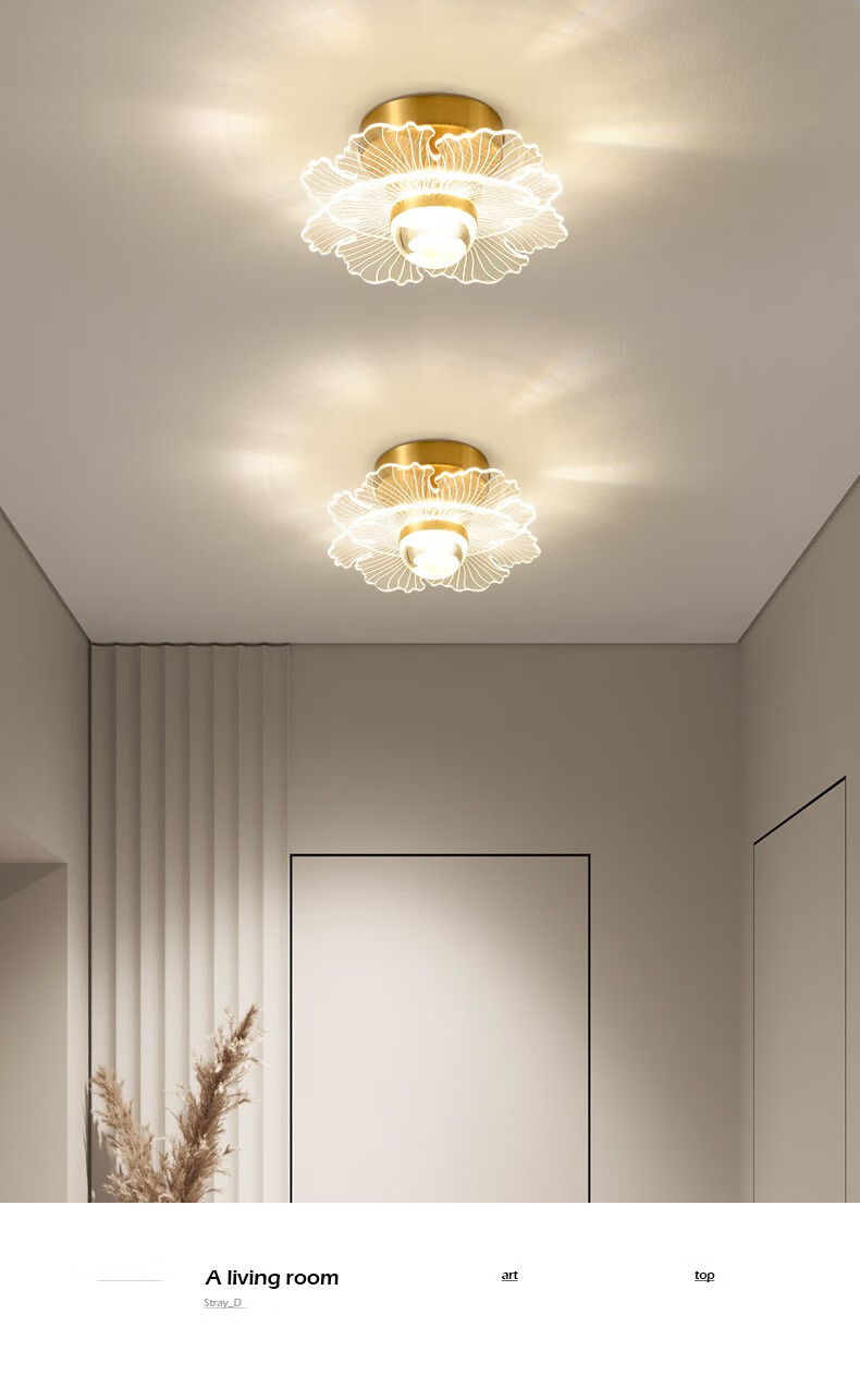 顶灯过道灯现代简约极简风玄关走廊门厅灯具奶油风衣帽间楼梯间吸顶灯