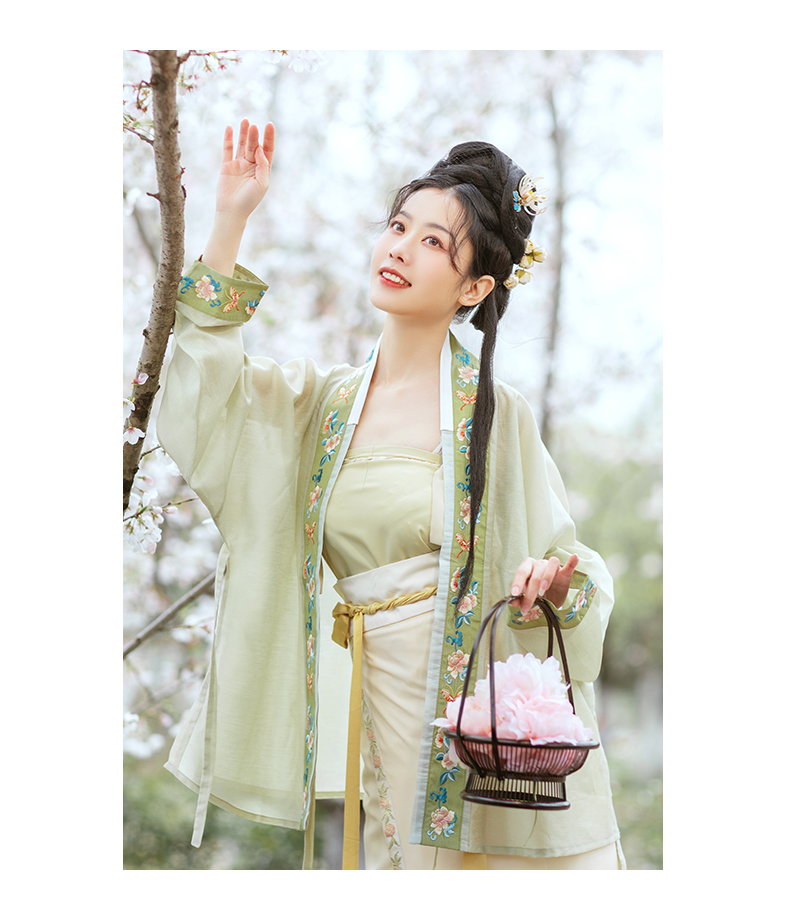 朝记汉服女款宋制三角褶宋抹刺绣飞机袖两片裙春夏女装小青梅宋抹1件l