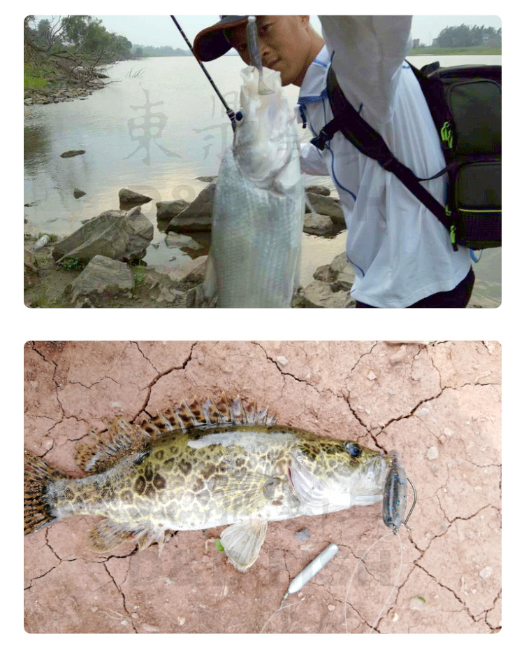 東鼎路亞軟餌根釣小t尾鉛頭鉤倒釣鱖魚鱸魚翹嘴蛆形軟蟲仿生假餌15寸