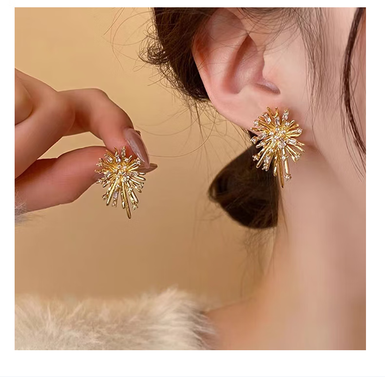 judi夸张大耳钉女银针个性时尚轻奢耳环女2024新款气质高级感小众耳饰