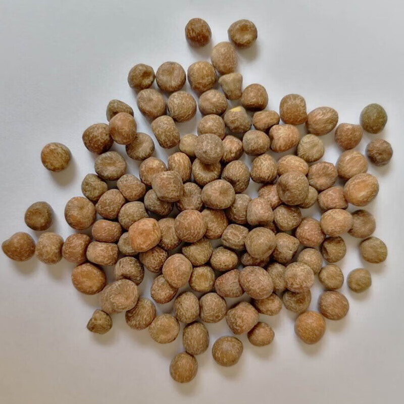 2斤食用麻豌豆生的干的豌豆粒苗芽菜种子专用农家家用杂粮