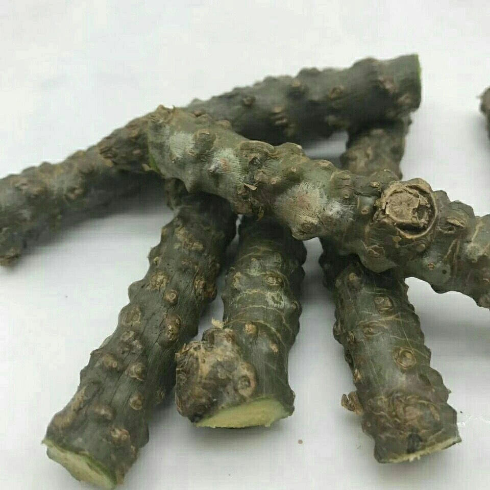 云南药材黑苦藤苦藤大苦藤500克