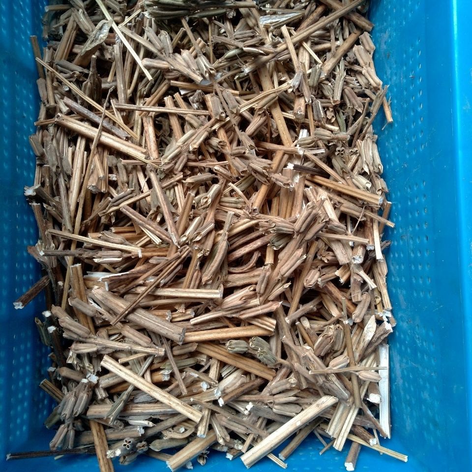 雷帕汀 20年农家芝麻杆梗干芝麻开花节节高喜事搬家乔迁新居入药装饰