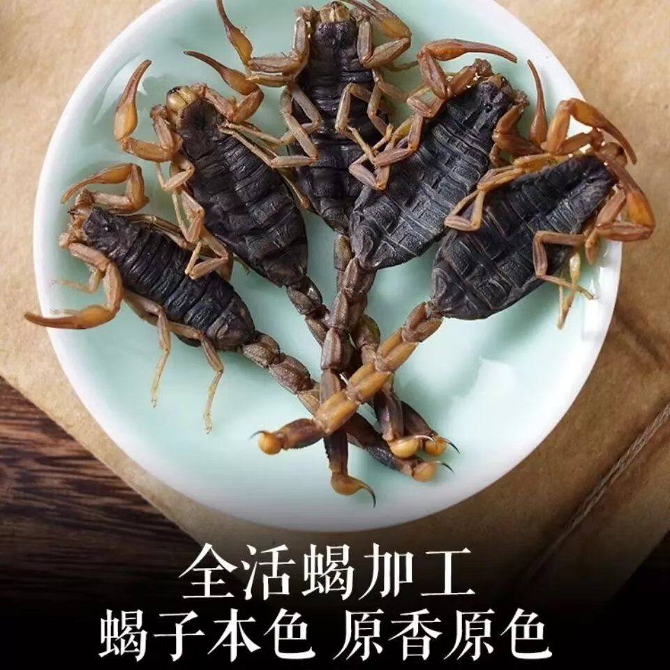 沂蒙全蝎和普通蝎子图片