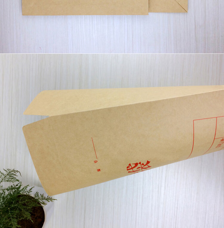 袋双舌公务员考试试题袋答题卡袋收纳包装袋a32双舌试卷袋10个装封条